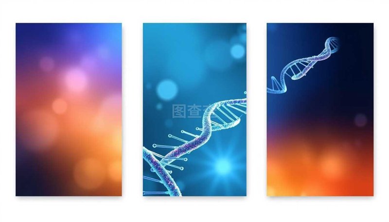 北京红瑞乐邦医疗科技有限公司:引领健康科技未来